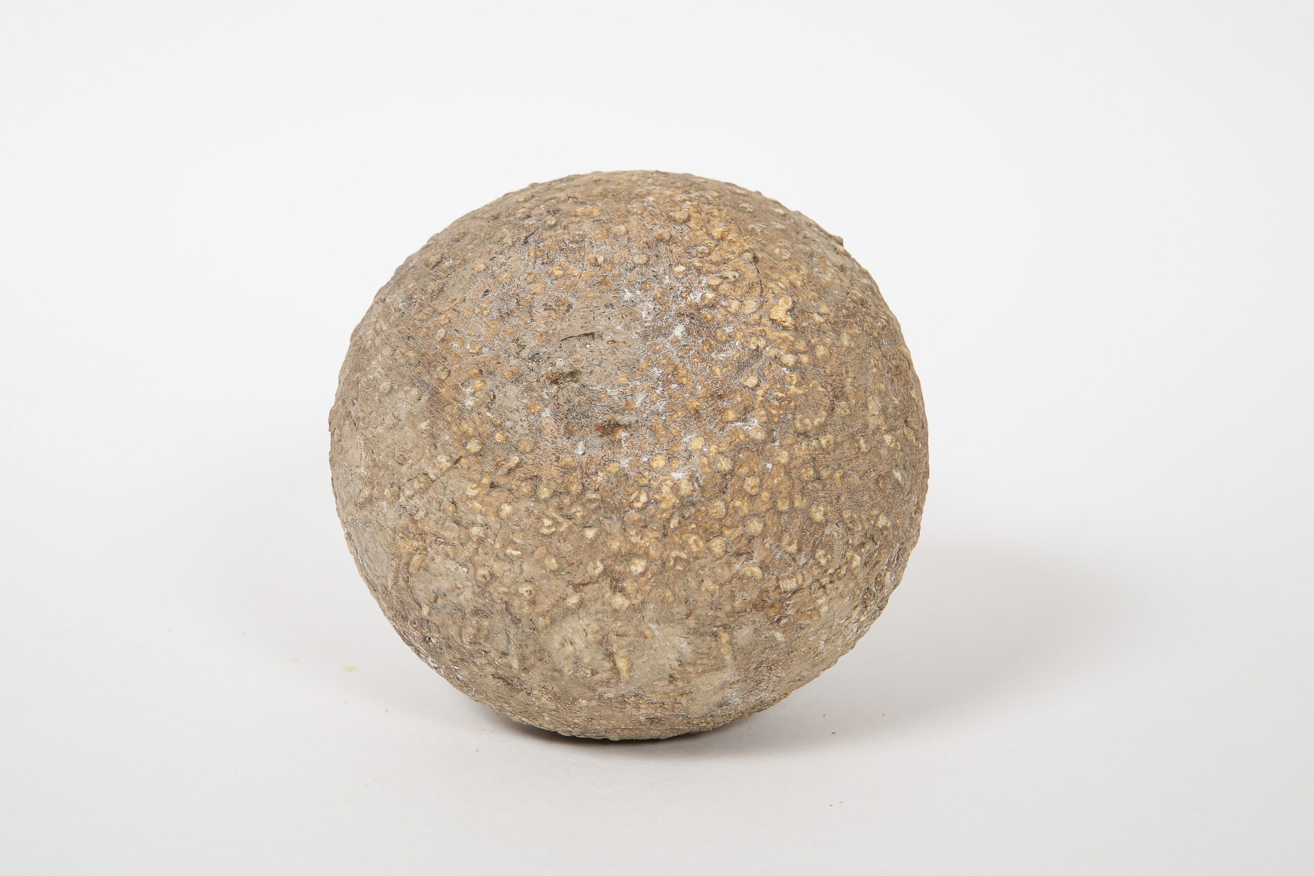 Pecorino semistagionato